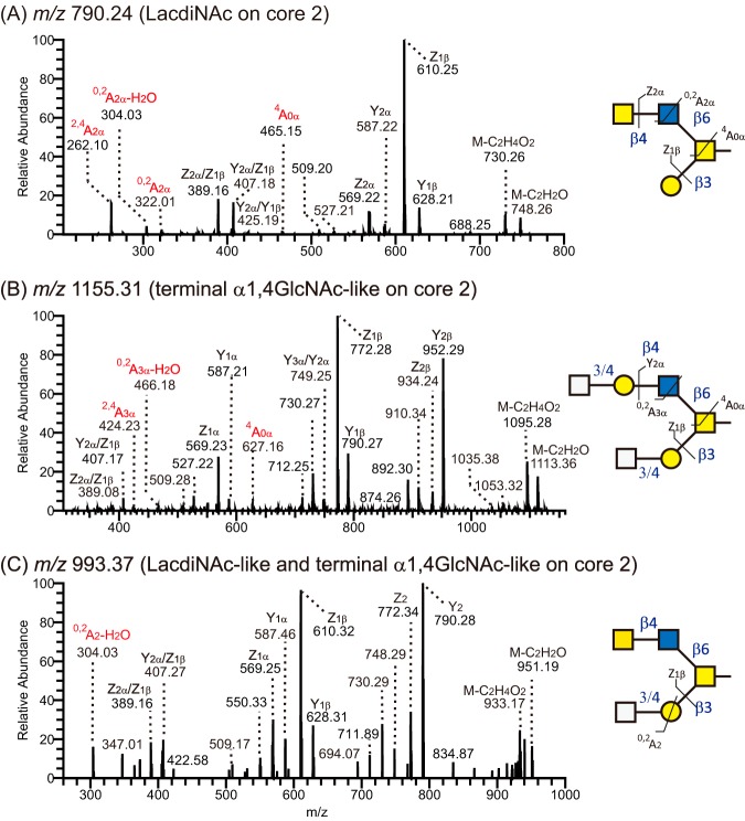 Fig. 6.