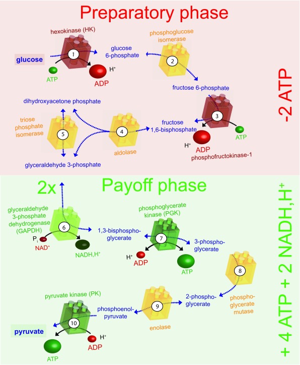 Figure 3. 