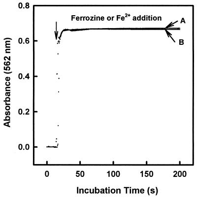 FIG. 5