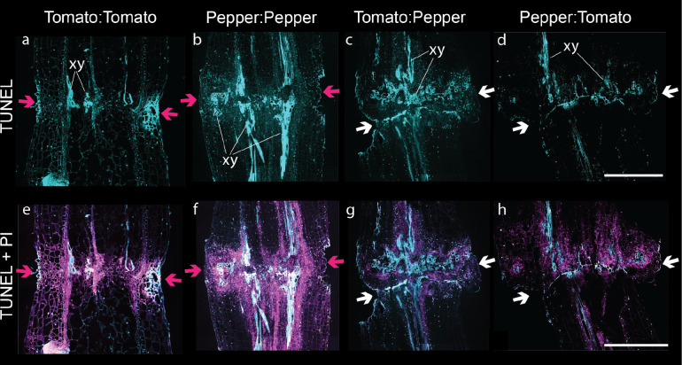 Figure 4: