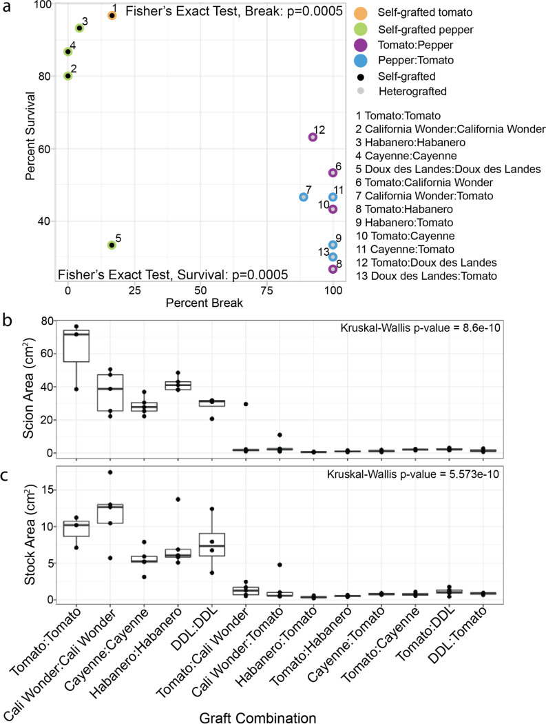 Figure 1: