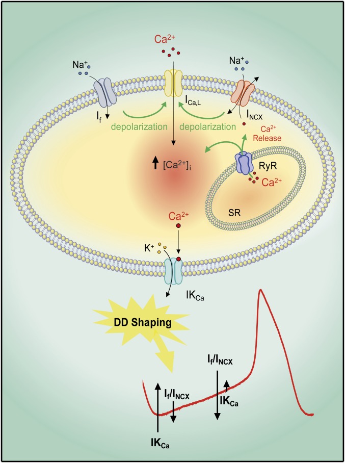 Fig. 8.