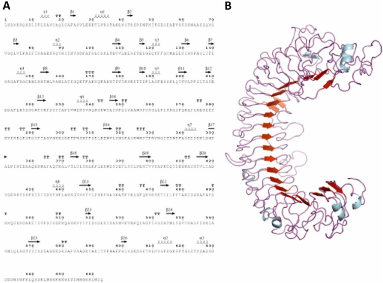 FIG 1