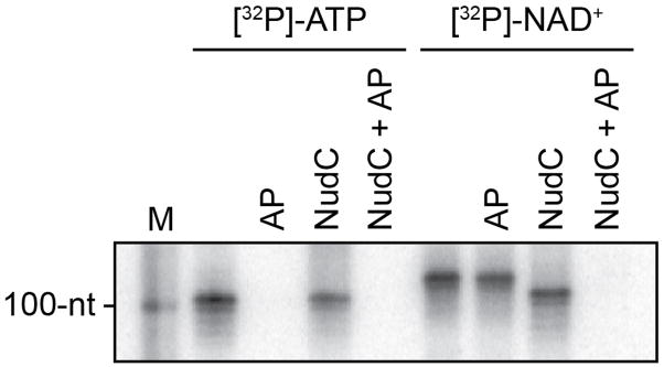 Extended Data Figure 3