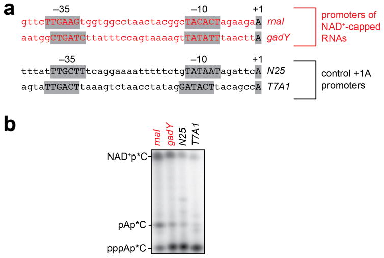 Extended Data Figure 4