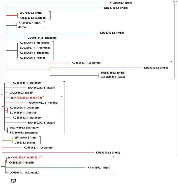 Fig. 4