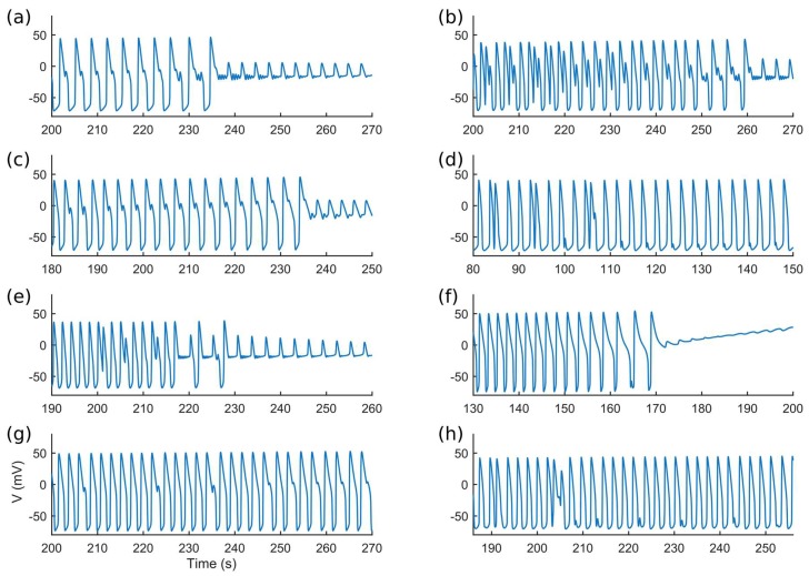 Figure 12