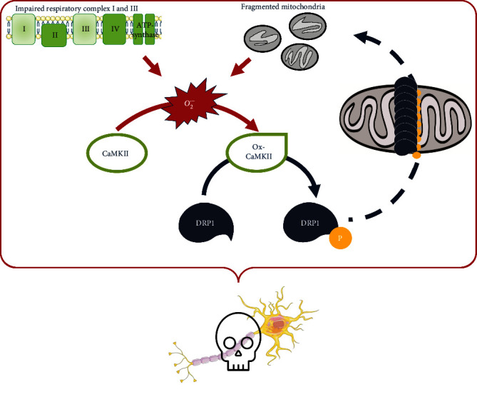 Figure 5