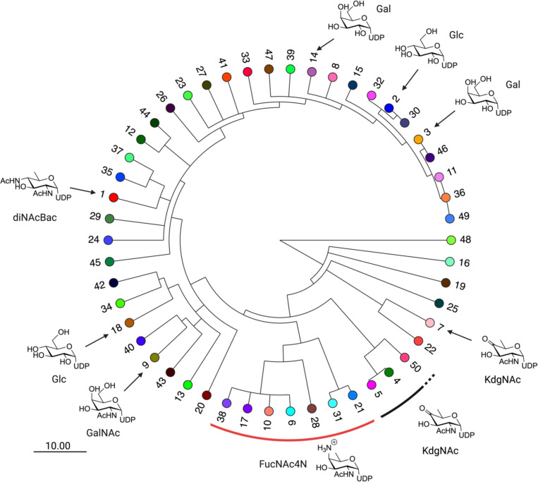 Figure 3: