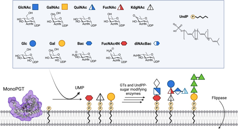 Figure 1: