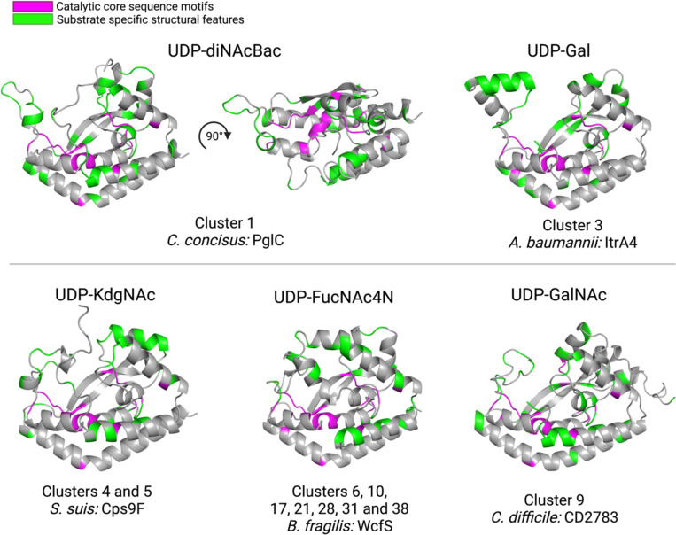 Figure 5: