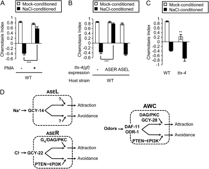 Figure 6.—