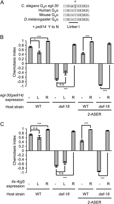 Figure 4.—