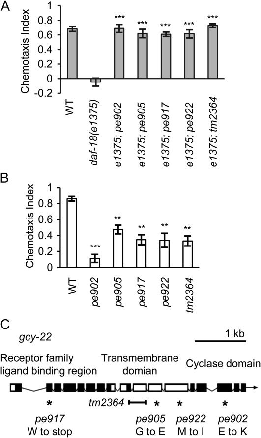 Figure 1.—