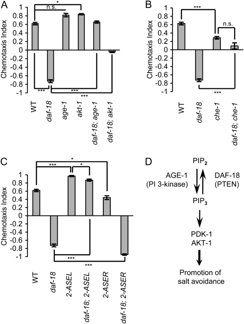 Figure 2.—