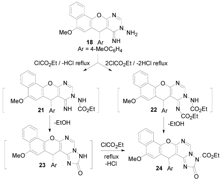 Scheme 8