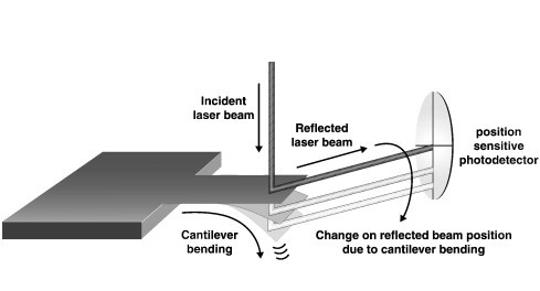 Fig. 1