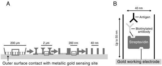 Fig. 4