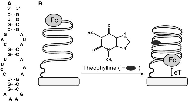 Fig. 5