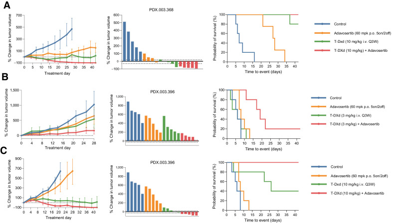 Figure 3. In vivo activity of T-DXd in combination with adavosertib in other HER2 high (3+) expressing tumors. A, T-DXd (3 mg/kg i.v. every 3 weeks) induced durable tumor regression in an ERBB2 amplified/HER2 overexpressing and CCNE1 amplified endometrial neuroendocrine carcinoma PDX, PDX.003.368. B and C, Adavosertib (60 mg/kg p.o. 5on/2off) in combination with T-DXd (3 and 10 mg/kg i.v. every 3 weeks) led to enhanced tumor regression in a ERBB2 amplified/HER2 overexpressing colorectal cancer model PDX.003.396, which was developed from a patient who had progressed after treatment with T-DXd. PDX, patient-derived xenograft; T-DXd, trastuzumab deruxtecan.