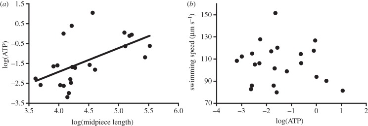 Figure 1.