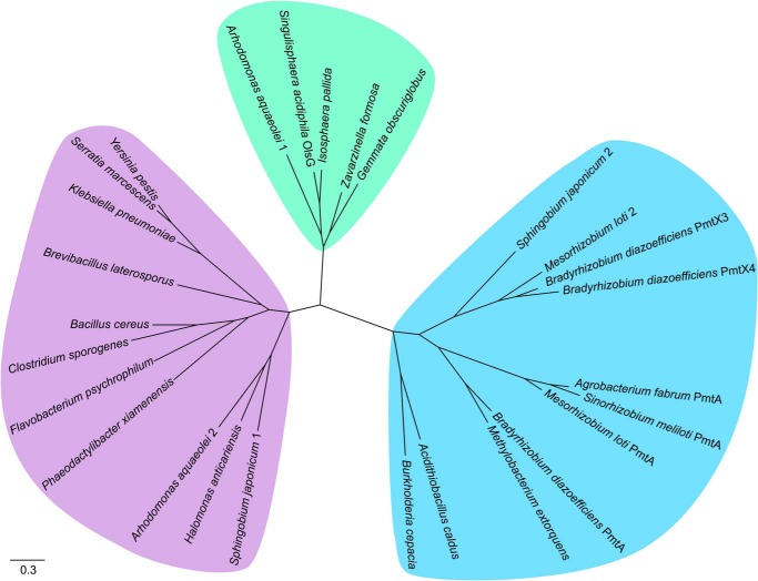 FIGURE 7.