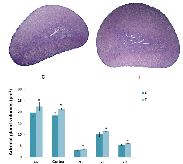 Fig.1