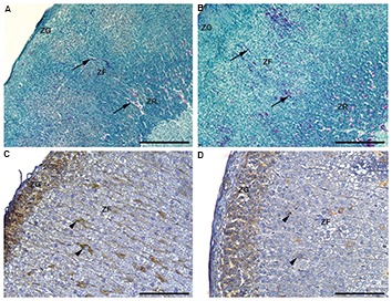 Fig.4