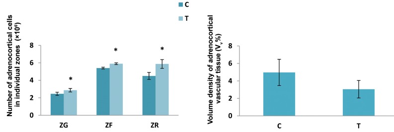 Fig.3