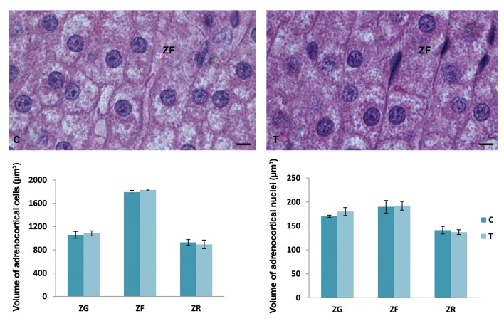 Fig.2