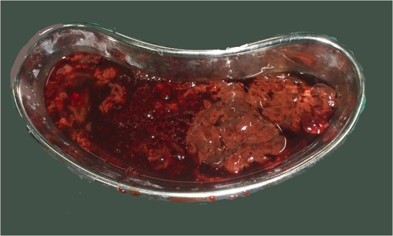 graphic file with name 12262_2012_753_Figc_HTML.jpg