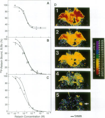 graphic file with name pnas01080-0398-a.jpg