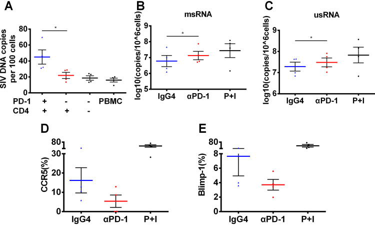 FIG 6