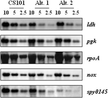 FIG. 4.