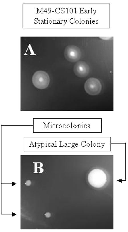 FIG. 3.