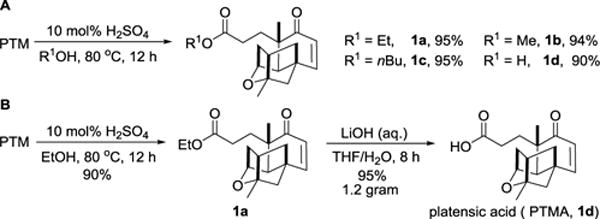 Scheme 1