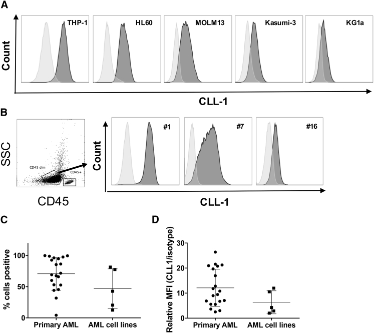 Figure 1