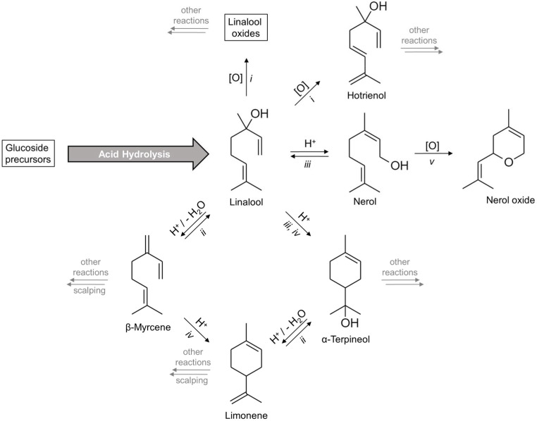 Scheme 2