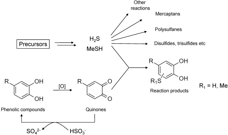 Scheme 4