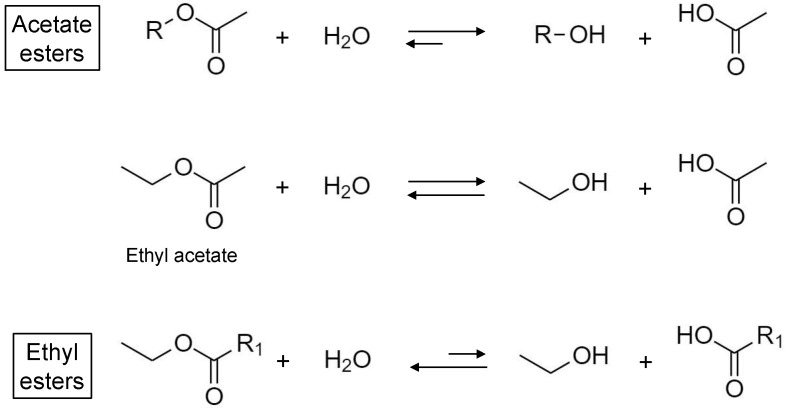 Scheme 3