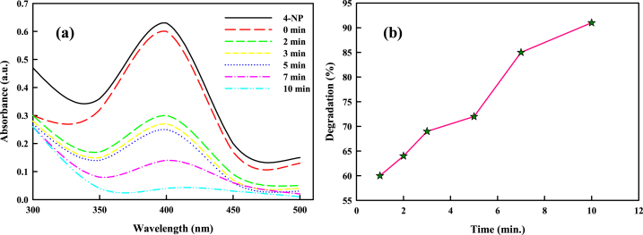 Fig. 10