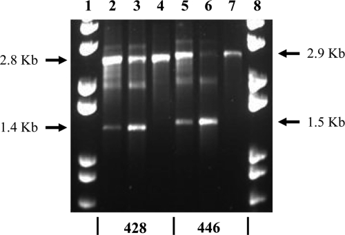 FIG. 5.