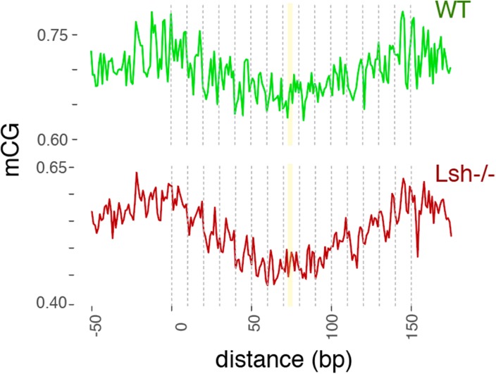 Figure 4—figure supplement 2.