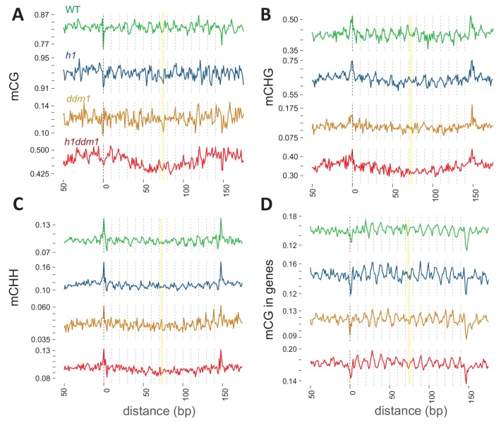 Figure 4—figure supplement 1.