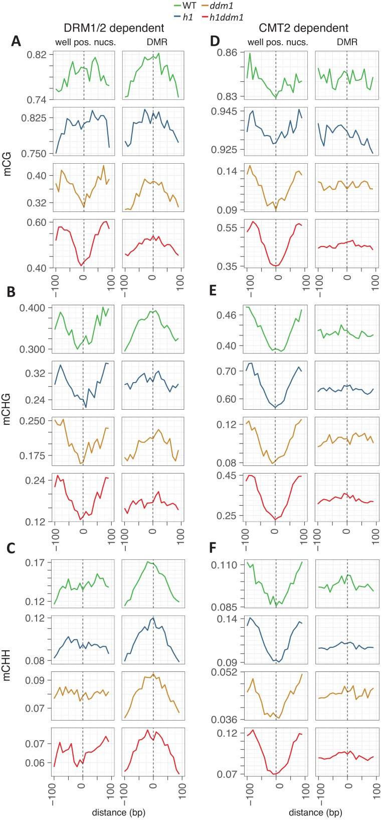 Figure 2—figure supplement 1.