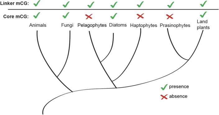 Figure 5—figure supplement 2.