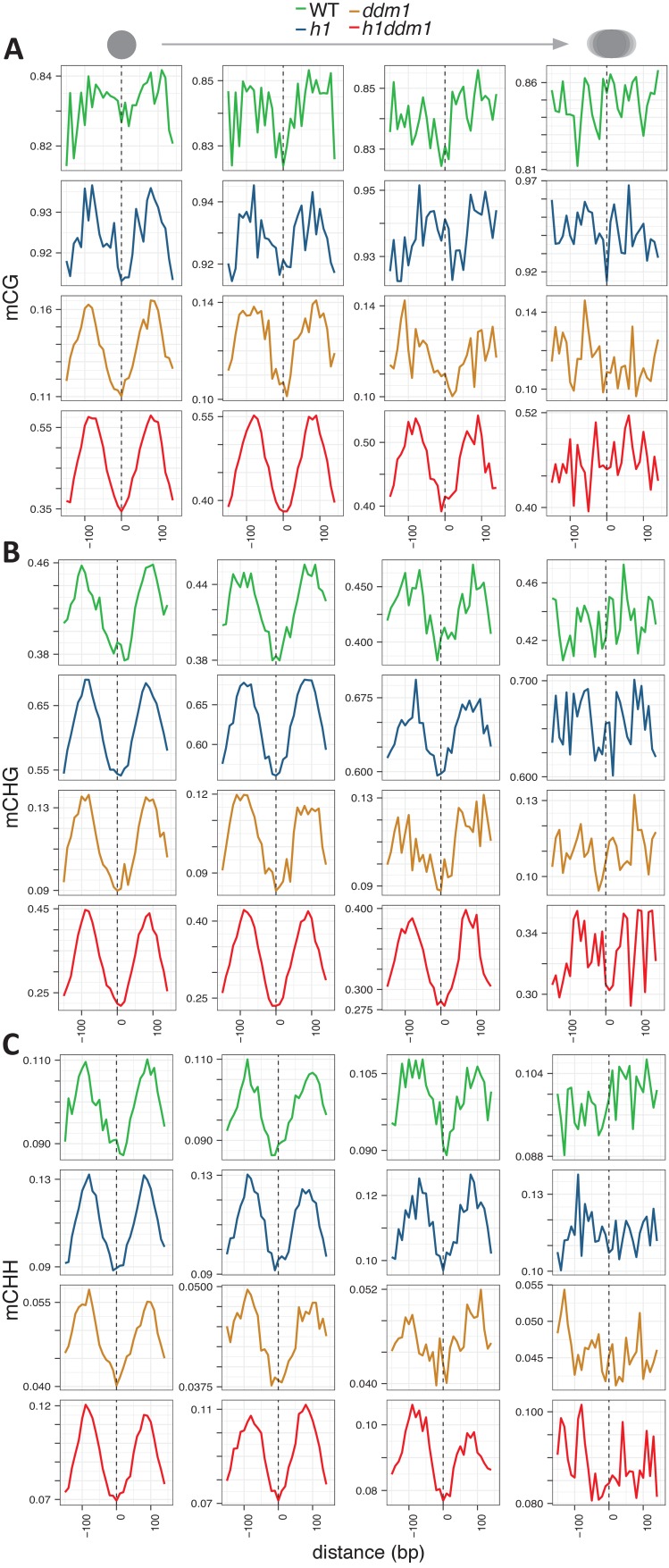 Figure 1—figure supplement 1.