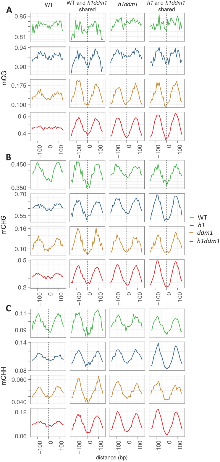 Figure 1—figure supplement 3.