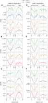 Figure 2—figure supplement 1.