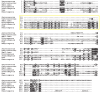 Figure 5—figure supplement 3.